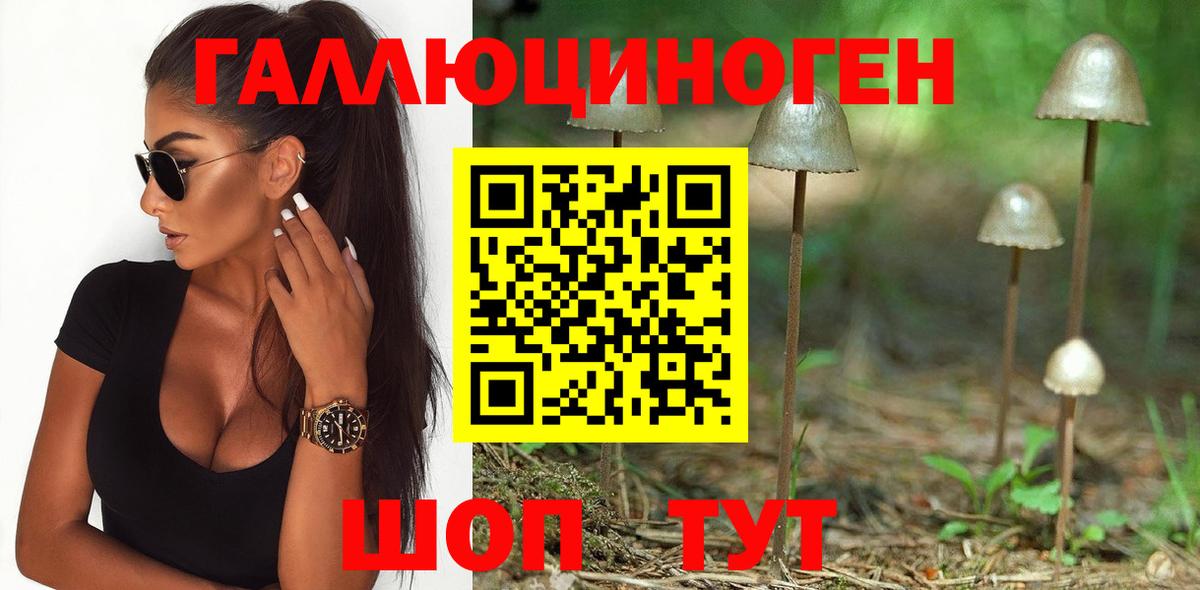 Дальнереченск  Галлюциногенные грибы Psilocybine cubensis  Вход с VPN 